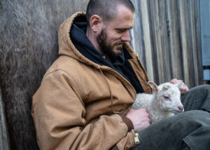 The word "bellwether" comes from sheep farming. It's what ranchers would call a castrated male sheep, a wether, who led the flock with a bell around his neck. Here, Sawtooth Ranch co-operator, Devin Peterson, holds newborn ram, Brutus. Listen to the audio story to hear more about sheep herding in Clallam County, and what it has to do with politics. (Credit: Tela Moss / NWPB)