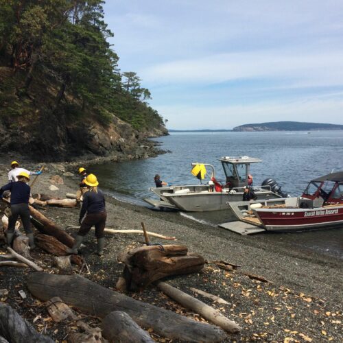 The Samish Indian Nation Department of Natural Resources works to clean up debris off the shoreline. (Credit: Samish Indian Nation Department of Natural Resources)