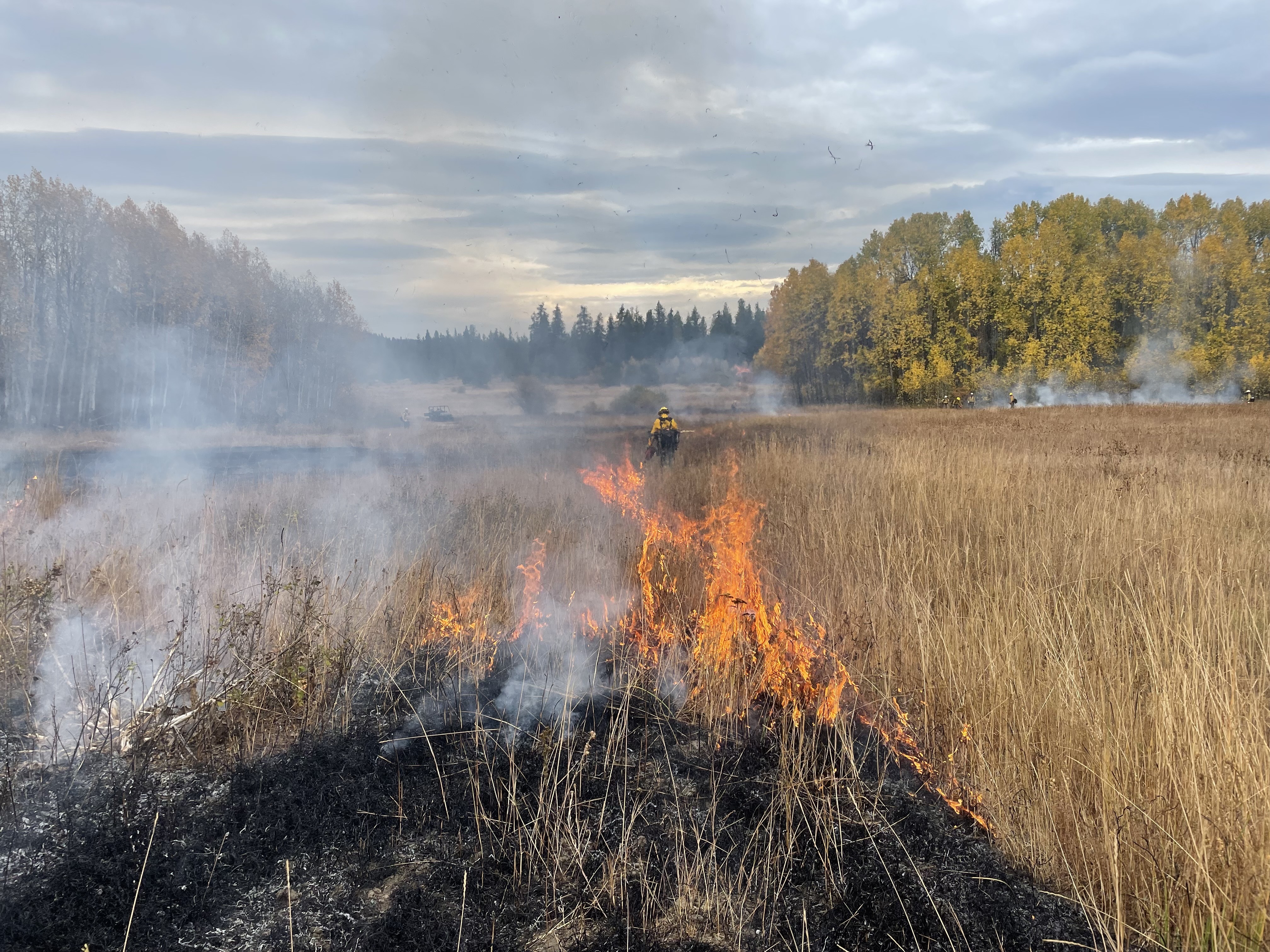 DNR conducts a prescribed burn in Camas Meadows.