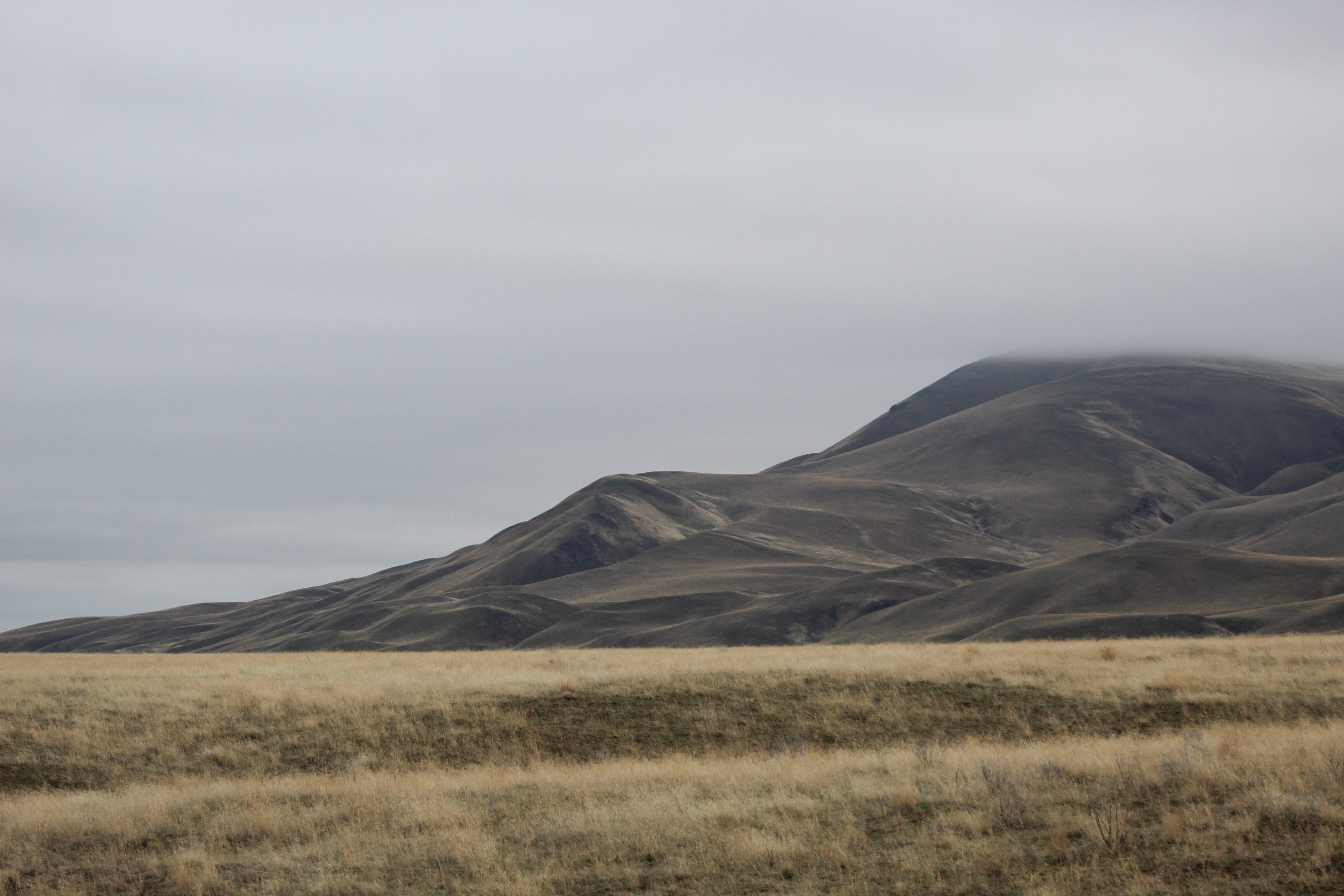 The gentle folds of Rattlesnake Mountain, or Lalíik, on the Hanford Reach National Monument rise into the dense fog in December 2023. 
