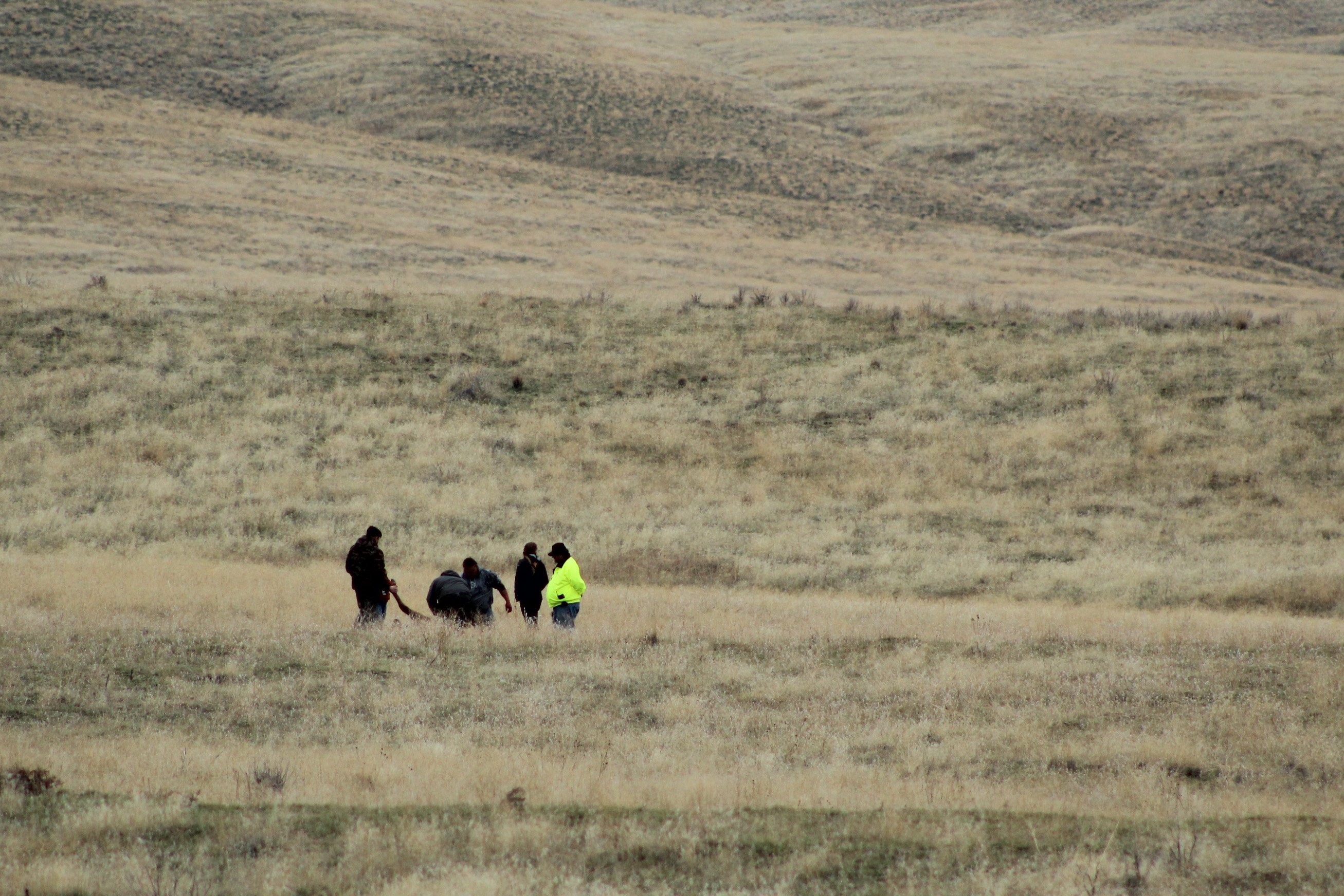 Hunters work quickly on the Hanford Reach National Monument near Richland, Washington after the elk kill to cool and pack out the meat.