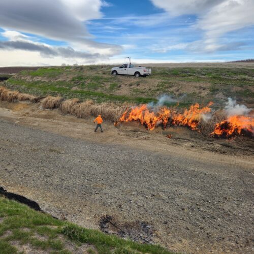 Workers clear canals of debris in preparation for spring irrigation season in the Roza Irrigation District. (Credit: Dave Rollinger)