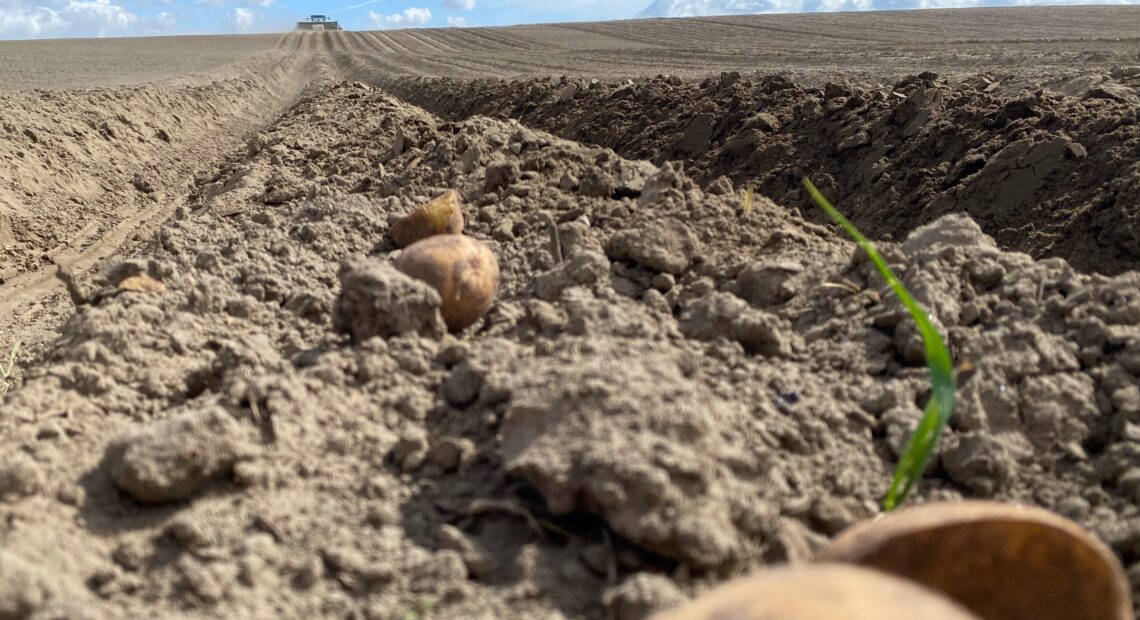 At the top of a hill, a tractor with a 17-foot wide planter plugs seed potatoes into the sandy ground at the Ice Harbor Hilltop Farm east of Burbank.